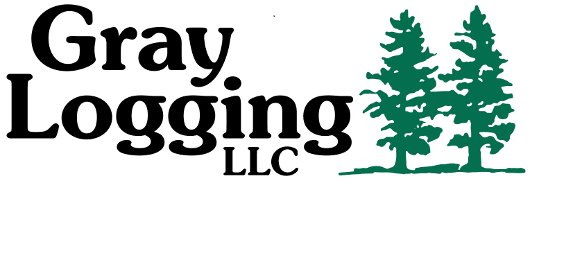 Logo for Gray Logging