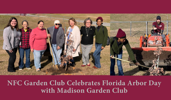 02-05-24 Web Slider NFC Madison Garden Club Florida Arbor Day